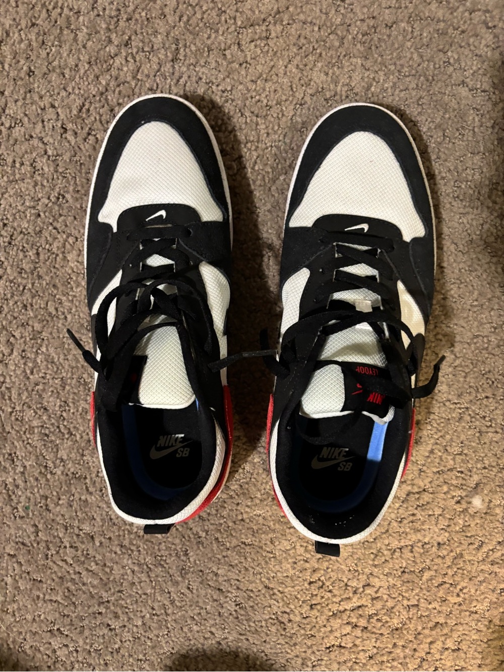 Nike SB Alleyoop
